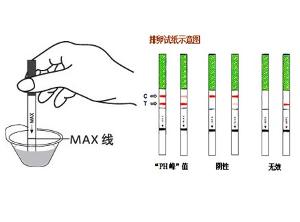 6205345905_d59a564256-160x160