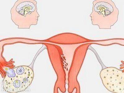 6205345905_d59a564256-160x160